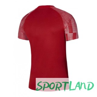 Koszulka Nike Academy Jr DH8369-657 M (137-147cm)