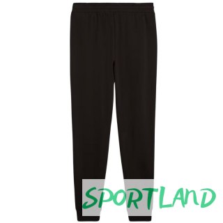 Spodnie Puma ESS Sweatpants FL M 682614 01 M