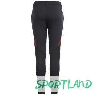Spodnie adidas Tiro 24 Competition Training Jr IS1638 164cm