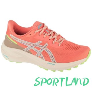 Buty do biegania Asics GT-1000 13 TR W 1012B828-700 40,5