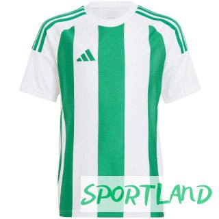 Koszulka adidas Striped 24 Jr IW2138 152cm