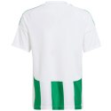 Koszulka adidas Striped 24 Jr IW2138 152cm