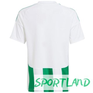 Koszulka adidas Striped 24 Jr IW2138 152cm