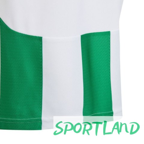 Koszulka adidas Striped 24 Jr IW2138 152cm Koszulka adidas Striped 24 Jr IW2138 152cm