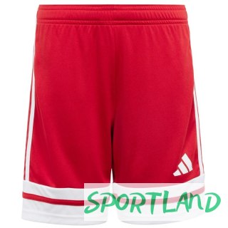 Spodenki adidas Squadra 25 Jr JJ2416 128 cm
