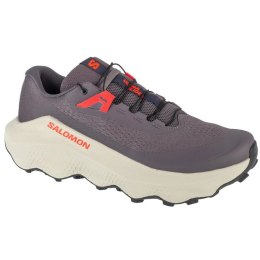 Buty do biegania Salomon Ultra Glide 3 M L47742100 42 2/3