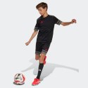 Koszulka adidas Squadra 25 Jr JN4449 164 cm