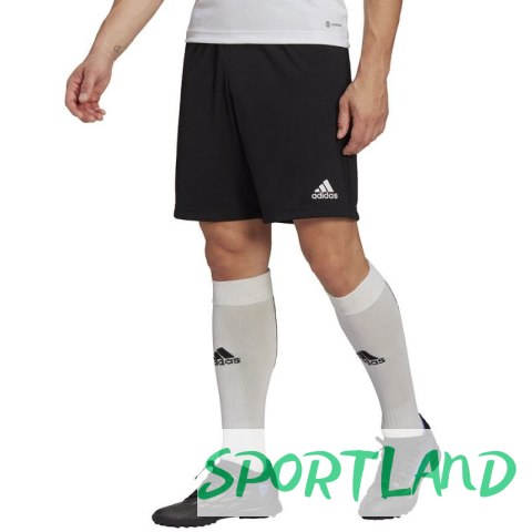 Spodenki adidas Entrada 22 Training Short M HB0575 XXXL Spodenki adidas Entrada 22 Training Short M HB0575 XXXL