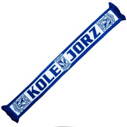 Szalik KSS Lech Kolejorz G00738 N/A