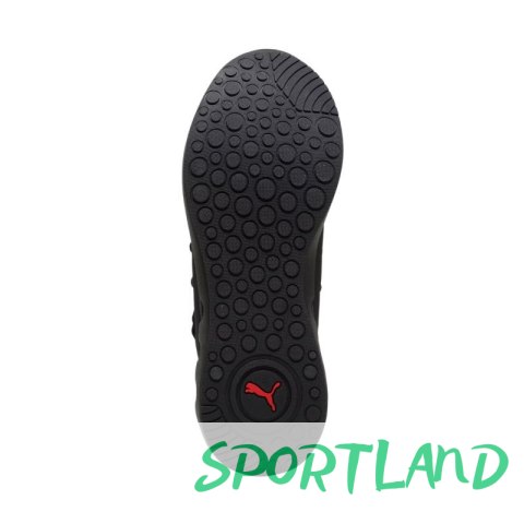 Buty do biegania Puma Softride Carson Fresh M 310155 04 45 Buty do biegania Puma Softride Carson Fresh M 310155 04 45