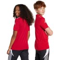 Koszulka adidas Squadra 25 Polo Jr JY3411 116 cm Koszulka adidas Squadra 25 Polo Jr JY3411 116 cm