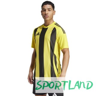 Koszulka adidas Striped 24 JSY M IW2146 XL