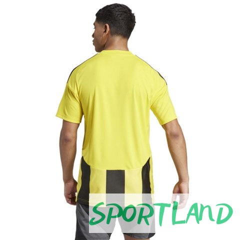 Koszulka adidas Striped 24 JSY M IW2146 M Koszulka adidas Striped 24 JSY M IW2146 M