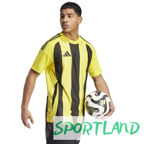 Koszulka adidas Striped 24 JSY M IW2146 M Koszulka adidas Striped 24 JSY M IW2146 M
