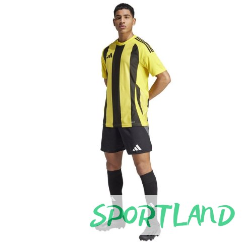 Koszulka adidas Striped 24 JSY M IW2146 M Koszulka adidas Striped 24 JSY M IW2146 M