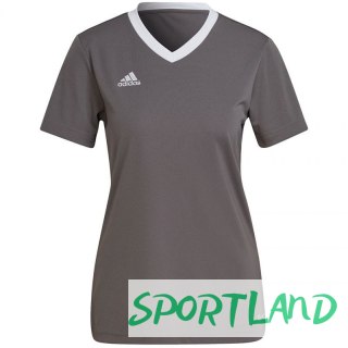 Koszulka adidas Entrada 22 Jsy W H59848 2XL