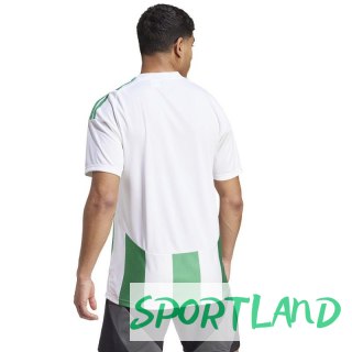 Koszulka adidas Striped 24 JSY M IW2148 L