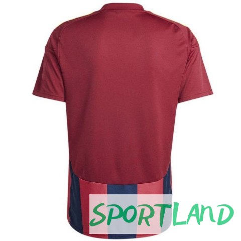 Koszulka adidas Striped 24 JSY M IW2149 L Koszulka adidas Striped 24 JSY M IW2149 L