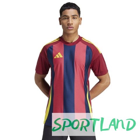 Koszulka adidas Striped 24 JSY M IW2149 L Koszulka adidas Striped 24 JSY M IW2149 L