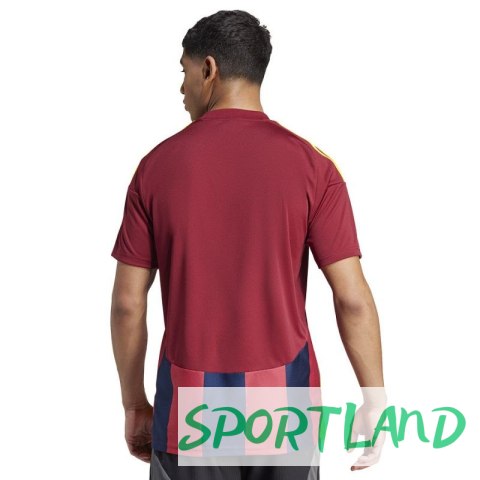 Koszulka adidas Striped 24 JSY M IW2149 L Koszulka adidas Striped 24 JSY M IW2149 L
