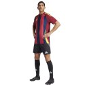 Koszulka adidas Striped 24 JSY M IW2149 L Koszulka adidas Striped 24 JSY M IW2149 L