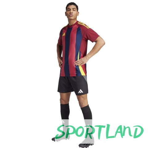 Koszulka adidas Striped 24 JSY M IW2149 L Koszulka adidas Striped 24 JSY M IW2149 L