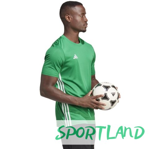 Koszulka adidas Tabela 23 Jersey M IA9147 3XL Koszulka adidas Tabela 23 Jersey M IA9147 3XL