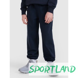 Spodnie 4F Jr 4FJWMM00TTROM1188-31S 164