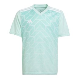 Koszulka adidas Team Icon 23 Jr IC1255 152
