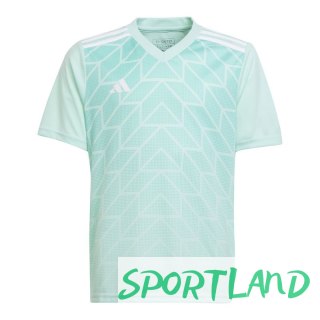 Koszulka adidas Team Icon 23 Jr IC1255 152