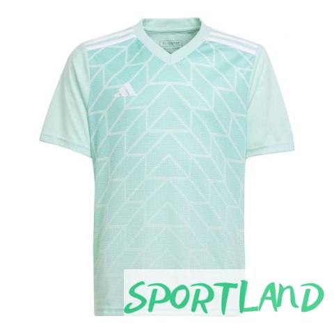 Koszulka adidas Team Icon 23 Jr IC1255 152 Koszulka adidas Team Icon 23 Jr IC1255 152