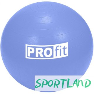 Piłka gimnastyczna Profit 65cm z pompką DK 2102 N/A