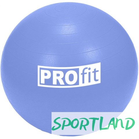 Piłka gimnastyczna Profit 65cm z pompką DK 2102 N/A Piłka gimnastyczna Profit 65cm z pompką DK 2102 N/A
