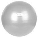 Piłka gimnastyczna PROfit 55cm z pompką DK2102 N/A