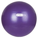 Piłka gimnastyczna PROfit 55cm z pompką DK2102 N/A