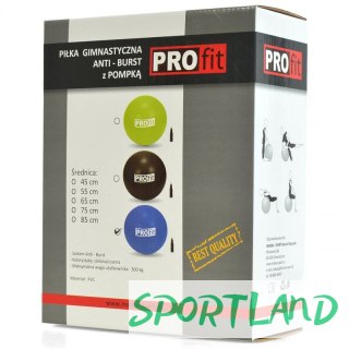 Piłka gimnastyczna PROfit 85cm niebieska z pompką DK2102 N/A