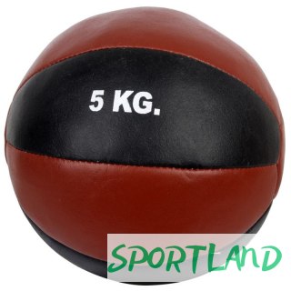 Piłka lekarska 5kg 1011665 treningowe