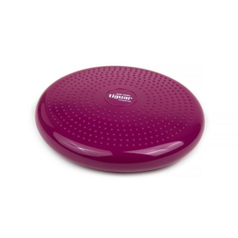 Dysk stabilizujący tiguar (air disc) DR-GT0001 N/A Dysk stabilizujący tiguar (air disc) DR-GT0001 N/A