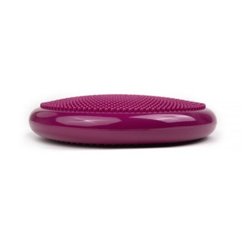 Dysk stabilizujący tiguar (air disc) DR-GT0001 N/A Dysk stabilizujący tiguar (air disc) DR-GT0001 N/A