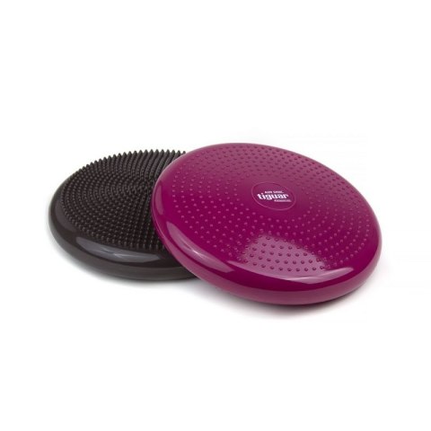 Dysk stabilizujący tiguar (air disc) DR-GT0001 N/A Dysk stabilizujący tiguar (air disc) DR-GT0001 N/A