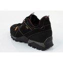 Buty trekkingowe Aku Nativa GTX W 629024 42