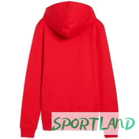 Bluza Puma Team Goal Casuals Hoody W 658621 01 M Bluza Puma Team Goal Casuals Hoody W 658621 01 M