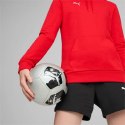 Bluza Puma Team Goal Casuals Hoody W 658621 01 S