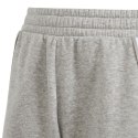 Spodenki adidas Tiro 24 Sweat Jr IS1005 128 cm