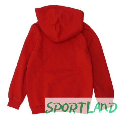 Bluza Puma DCT Hoodie Jr 849258 11 116 Bluza Puma DCT Hoodie Jr 849258 11 116