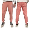 Spodnie Puma Ess+ 2 Col Logo M 586768 62 XL