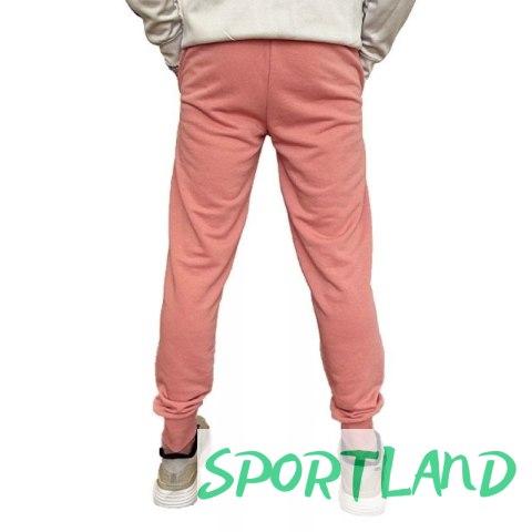 Spodnie Puma Ess+ 2 Col Logo M 586768 62 M Spodnie Puma Ess+ 2 Col Logo M 586768 62 M