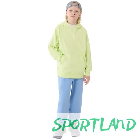 Bluza 4F M1712 Jr 4FJWSS25TSWSM1712 45N 164 cm Bluza 4F M1712 Jr 4FJWSS25TSWSM1712 45N 164 cm