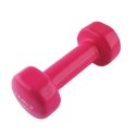Ciężarek żeliwny pokryty winylem 1,5kg 17023 17-47-003 N/A