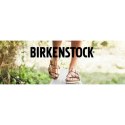 Birkenstock Gizeh BF 1016108 35 36